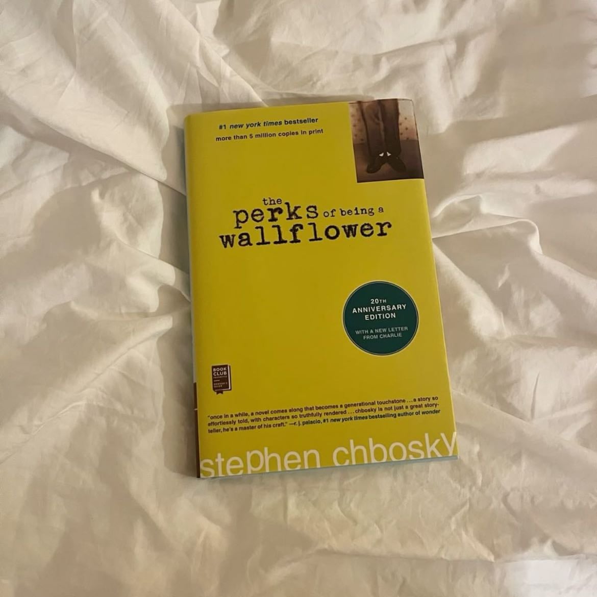 The Perks of Being a Wallflower - Stephen Chbosky · 1999