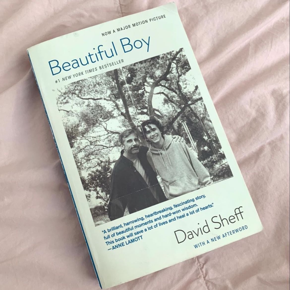 Beautiful Boy - David Sheff · 2018