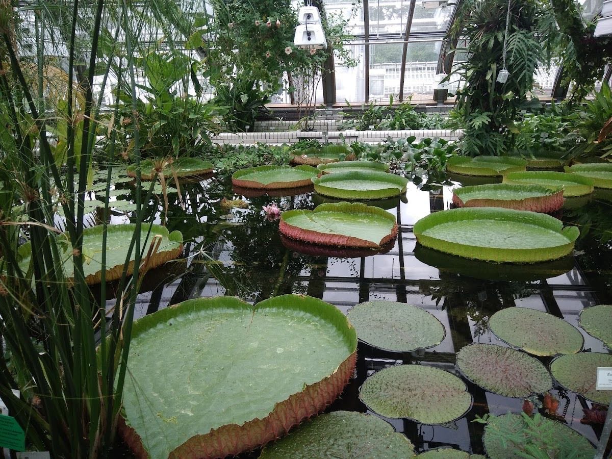 Botanischer Garten und Botanisches Museum