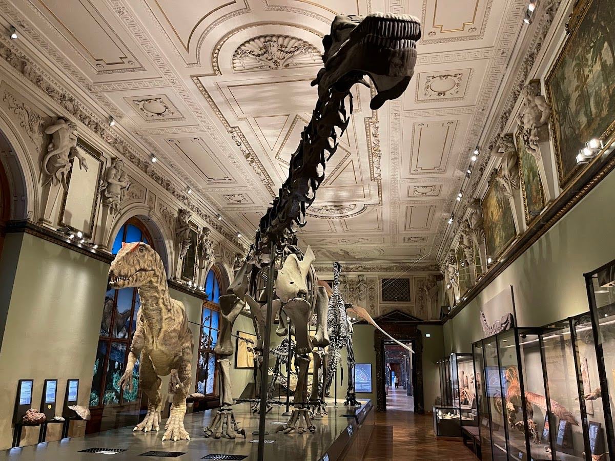 Naturhistorisches Museum Wien