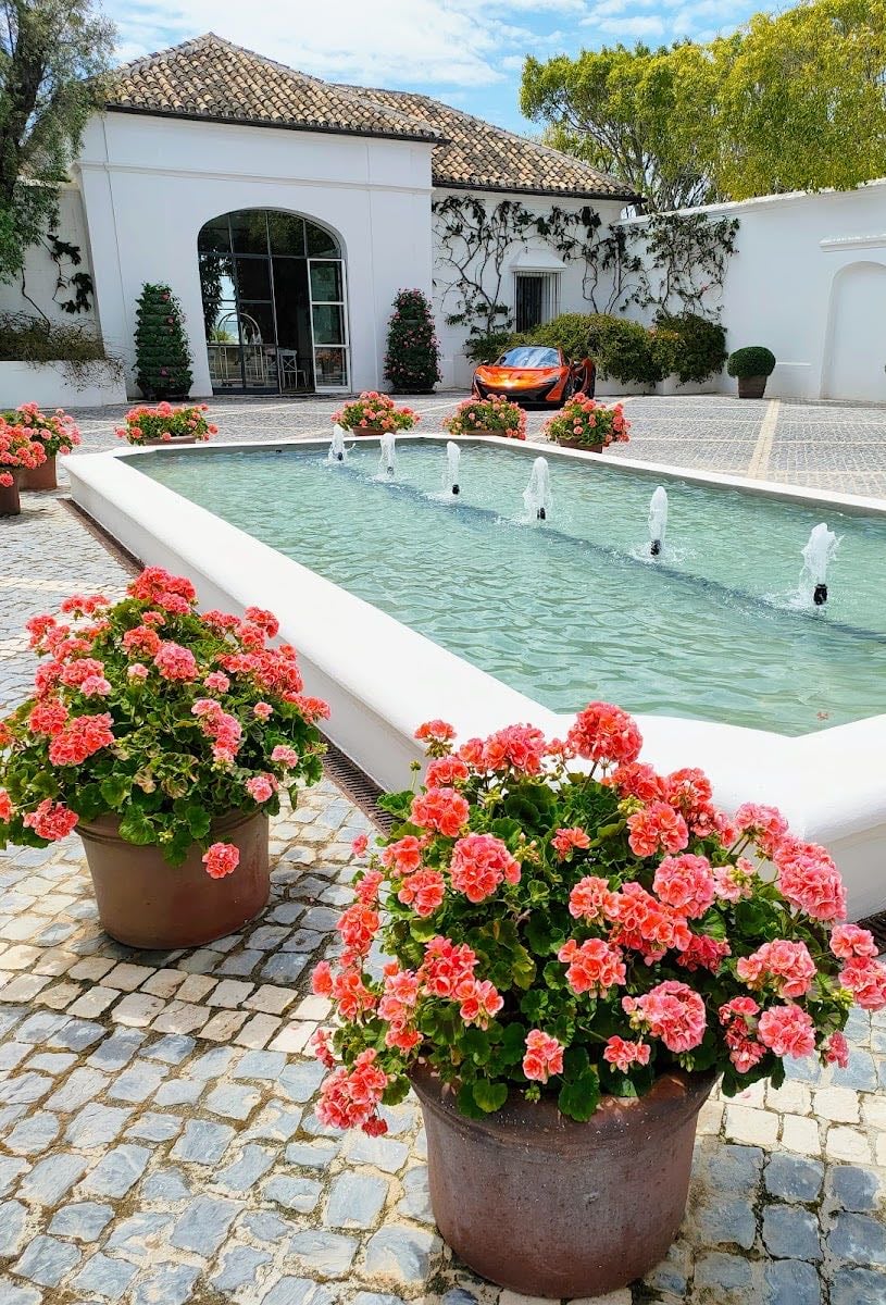 Finca Cortesin