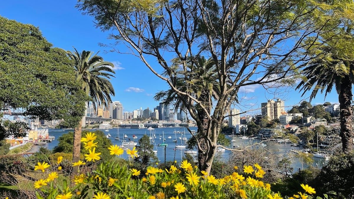 Lavender Bay