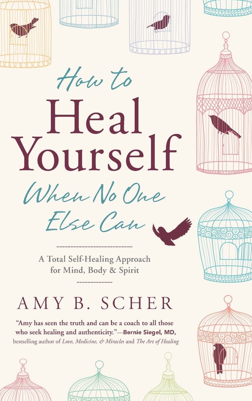 How to Heal Yourself When No One Else Can: A Total Self-Healing Approach for Mind, Body, and Spirit - Amy B Scher · 2017