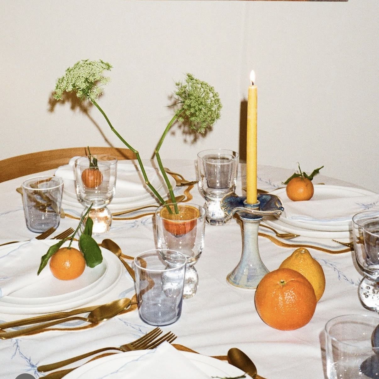 Citrus party ๐๐๐โ๐ฉ