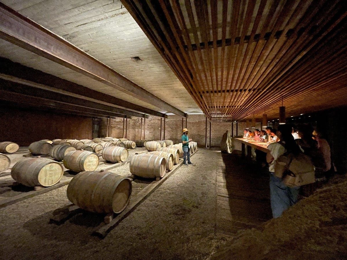 Viñedos Tierra Tinta