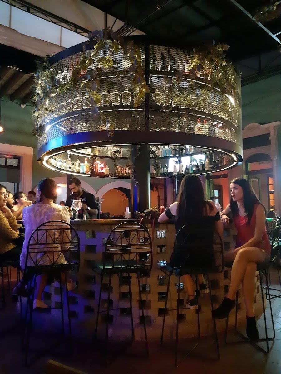 Hoja Santa Bar