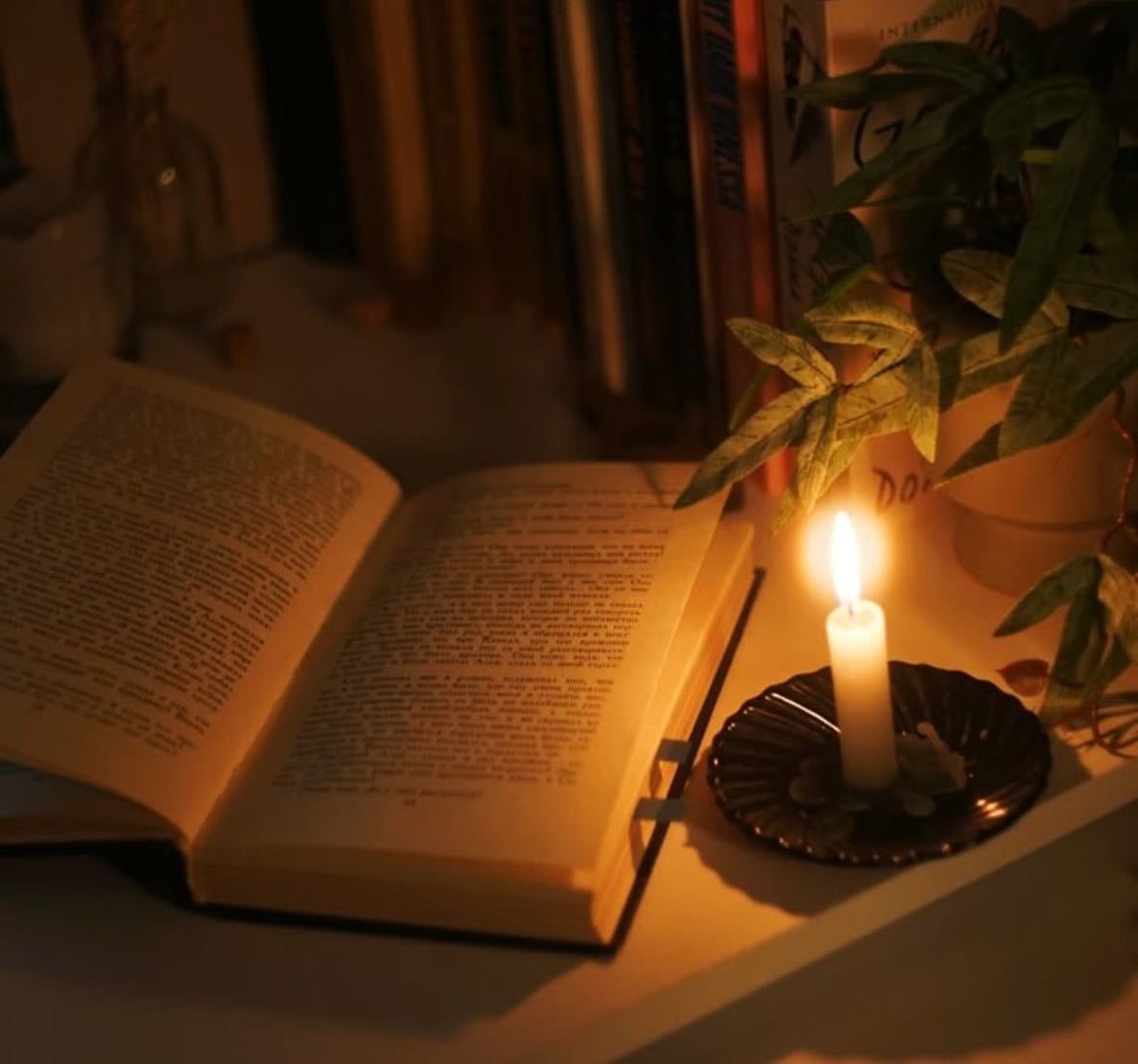 Books🪐🧚🏻🌼 - Books hypelist by Orne✨