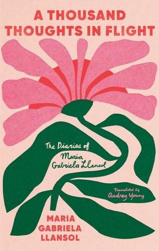 A Thousand Thoughts in Flight - Maria Gabriela Llansol · 2024