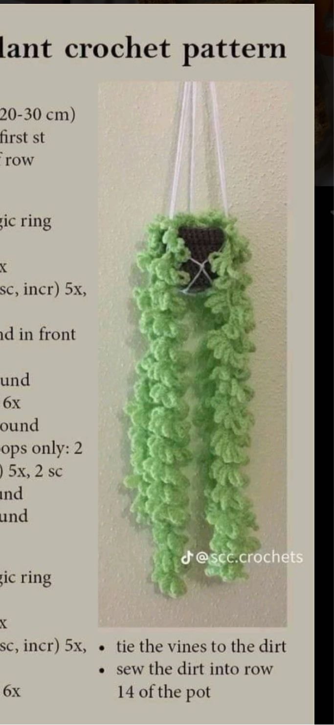 Crochet Hanging Plant