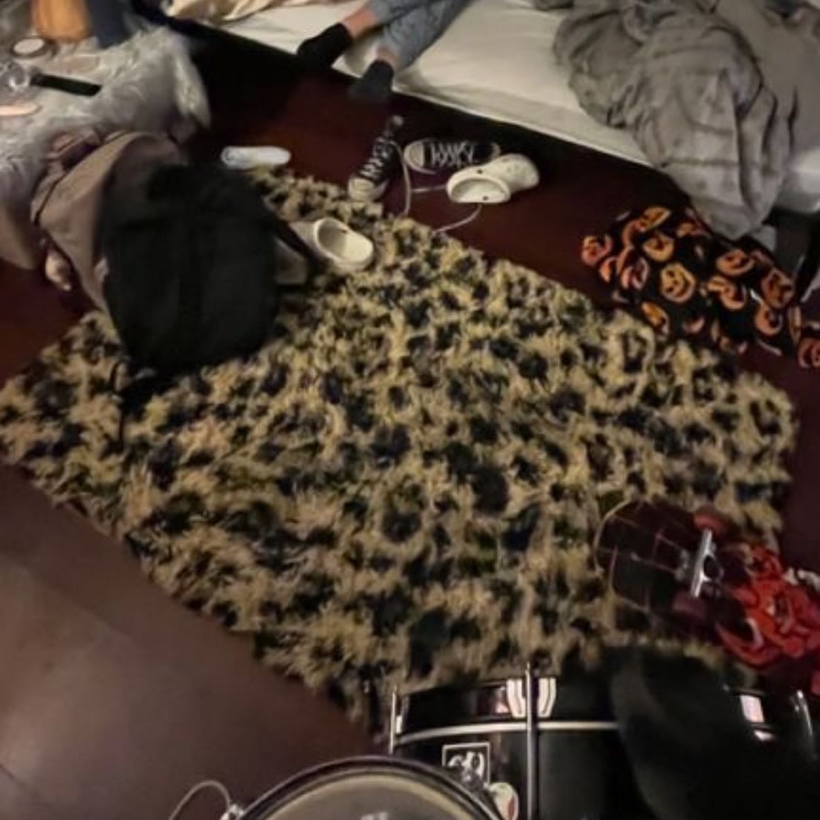 Cheeta rug