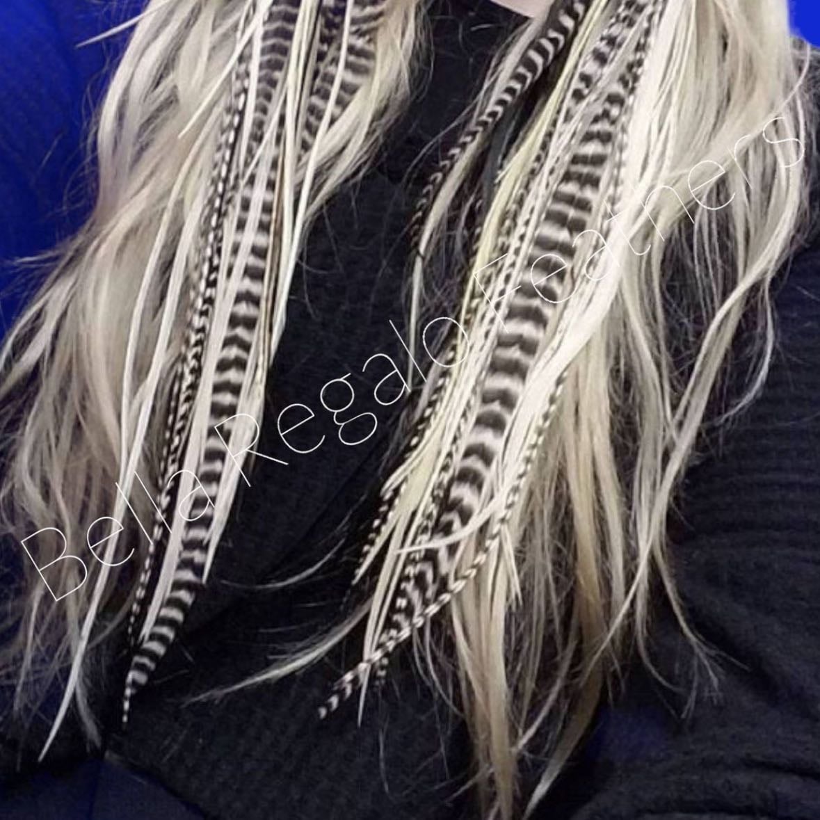 Feather extensions