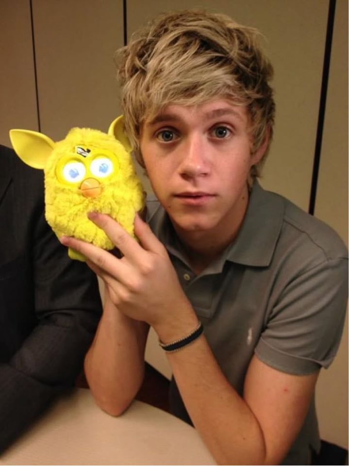 NIALLLLL