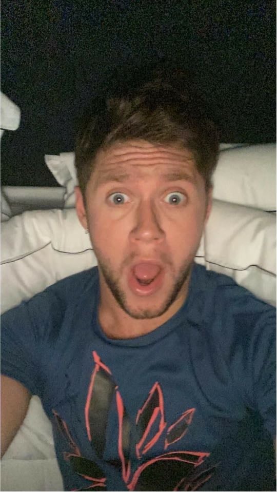 Niall Horan - Niall is my favorite singer and my favorite member of One Direction. I love his voice, his kind personality, and how genuine he is. His music always makes me feel something special.