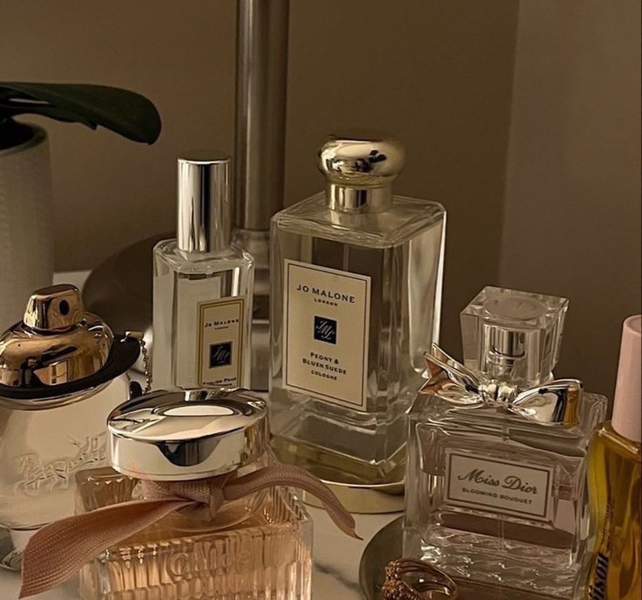 🌸 PERFUMES - Products hypelist by Iris-Eden
