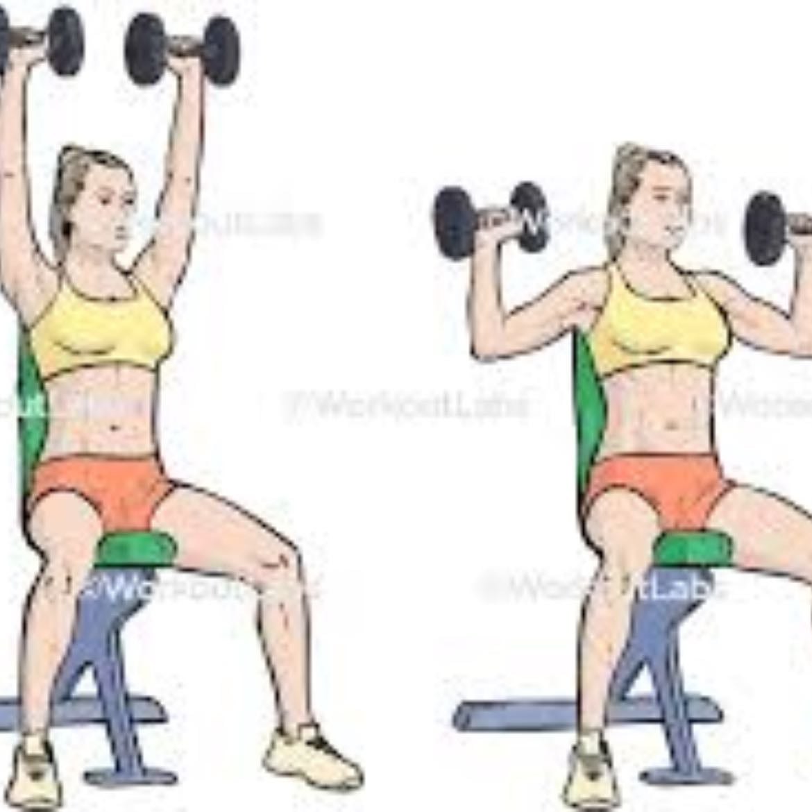 2.7 shoulder press+ cactus - 1 min