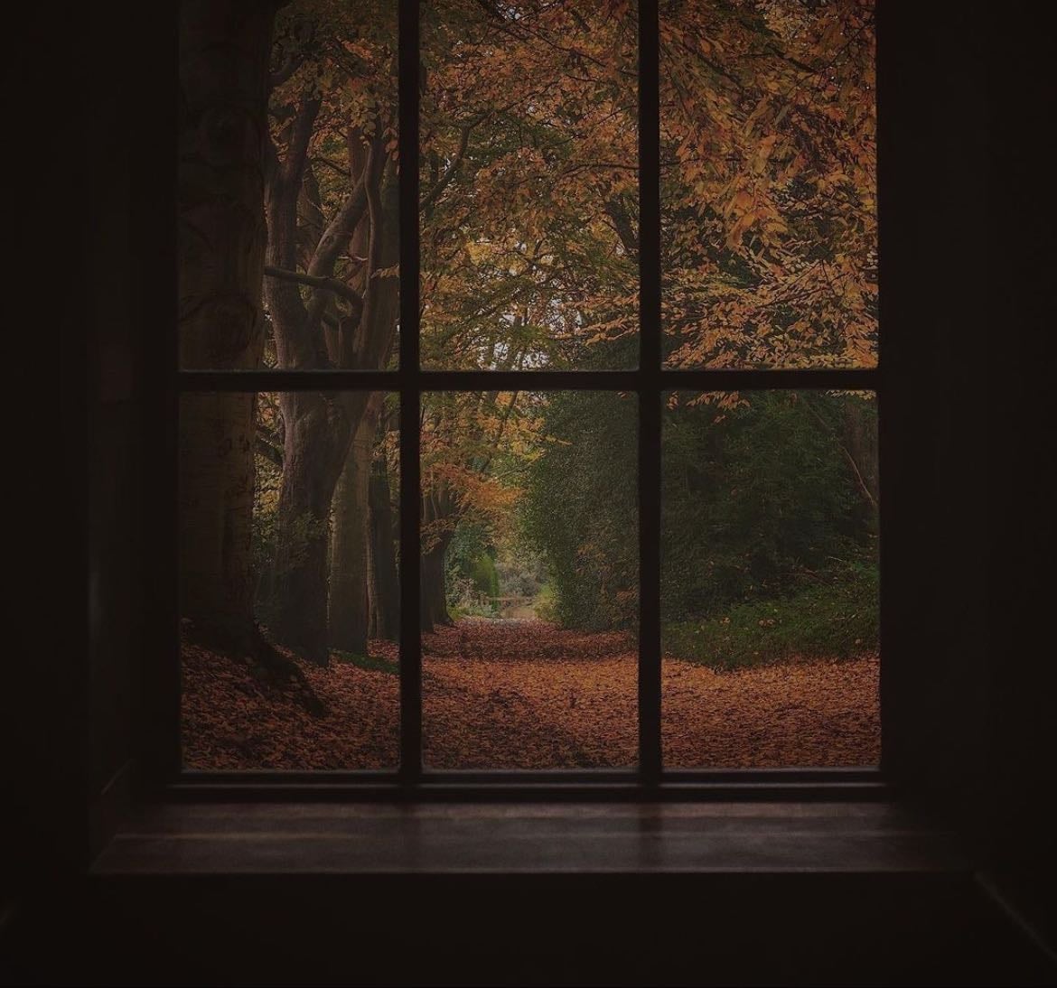 ⋆🪐。 by the fireplace ⋆˚☕️ ⋆ - Movies hypelist by Lia