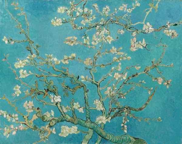 Van Gogh Museum