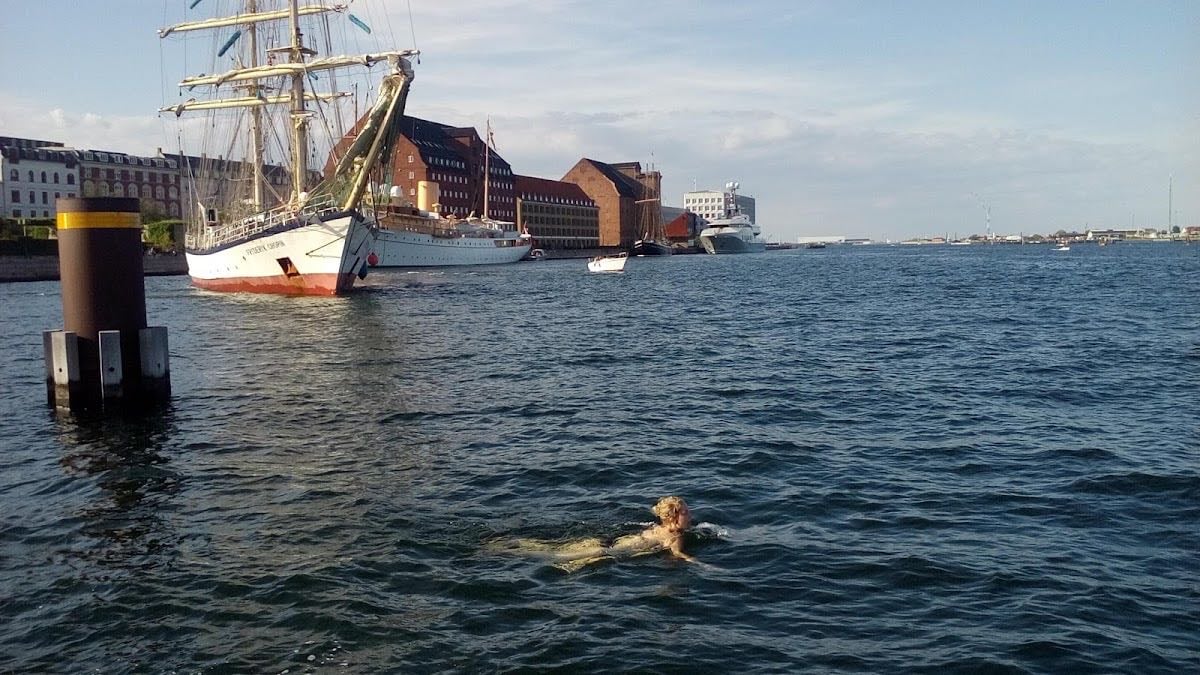 Kvæsthusbroen