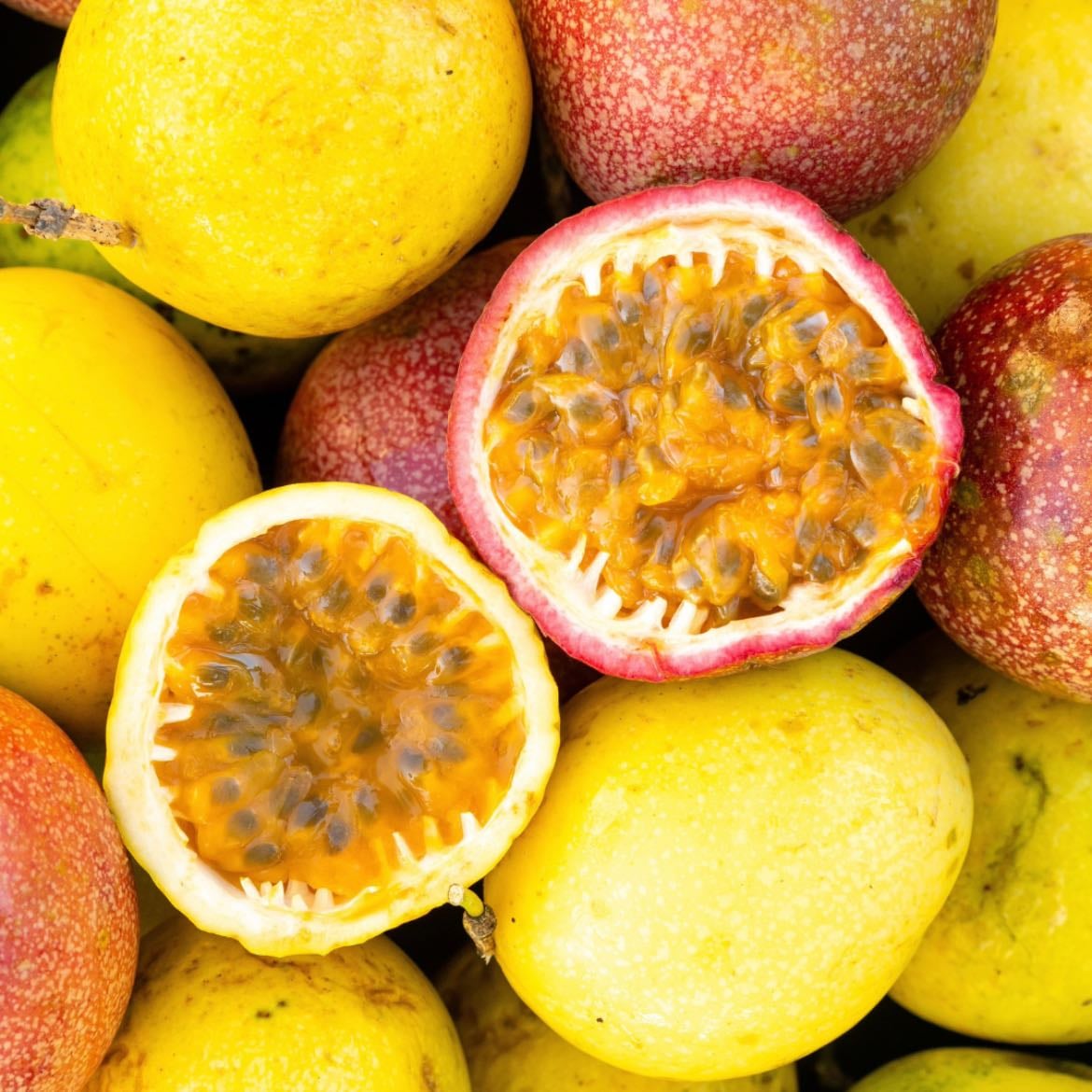 Maracuya