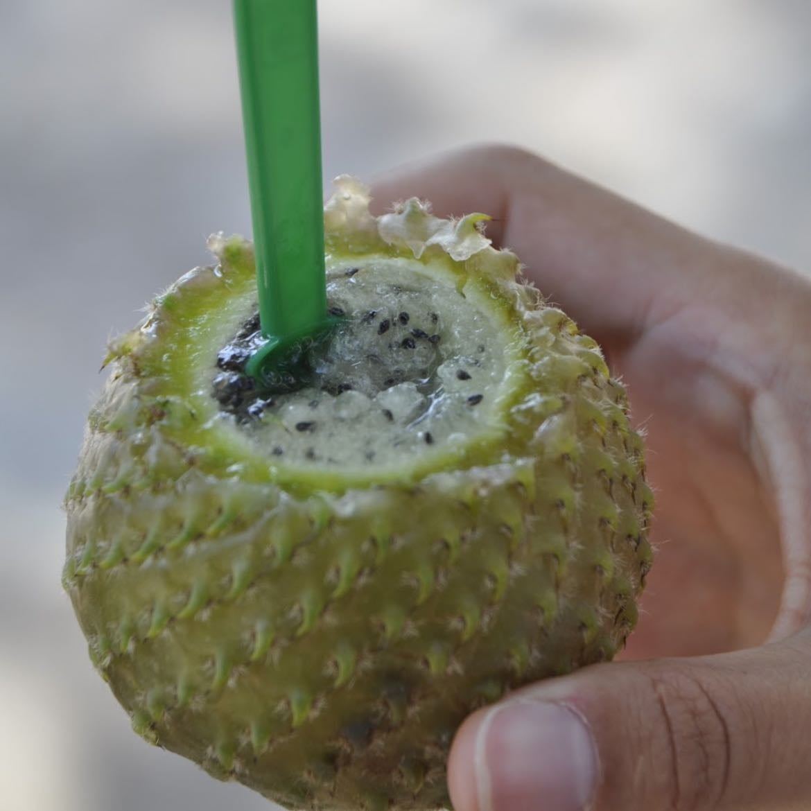 Copao