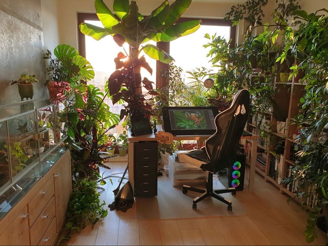 Lots of plants is a non negotiable.