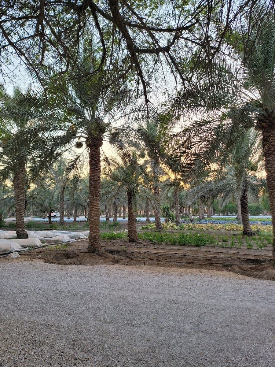 Heenat Salma Farm