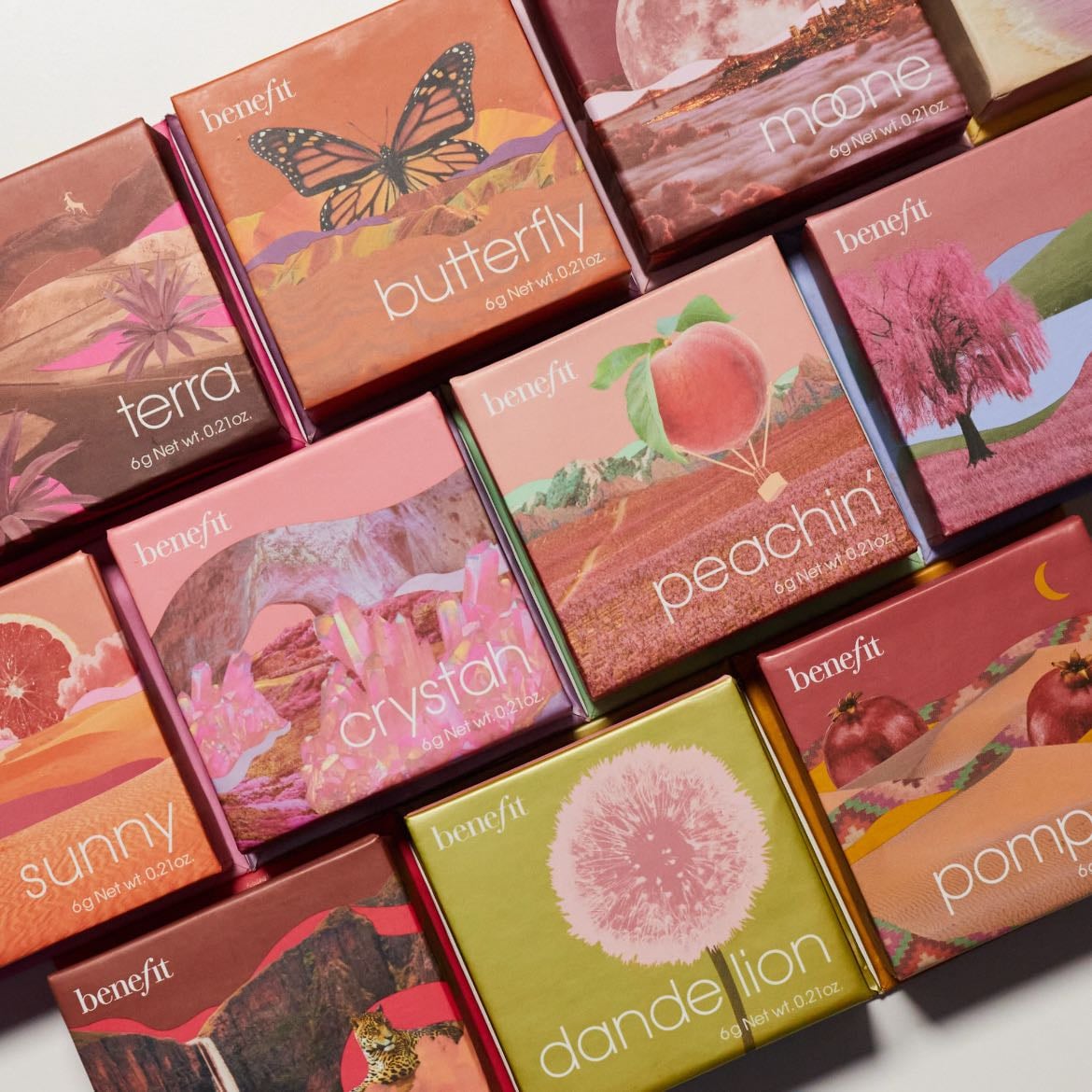 benefit - dandelion, terra