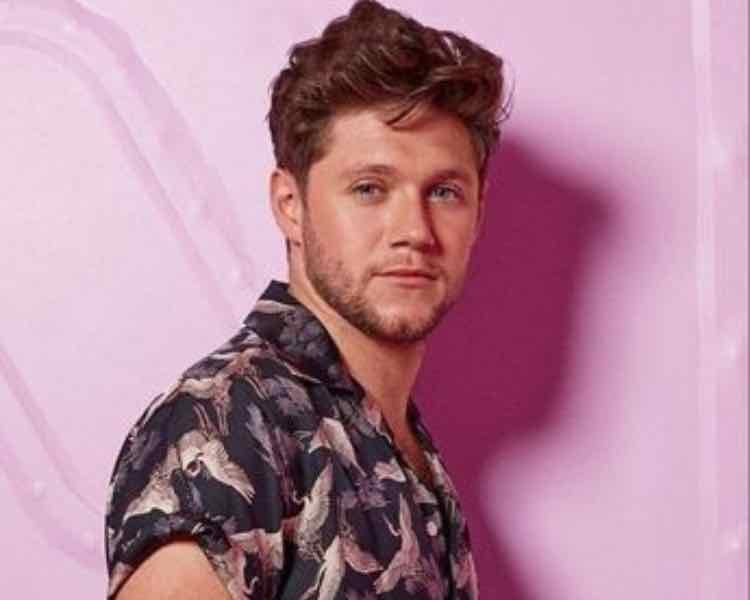 My Favorite Niall Eras
