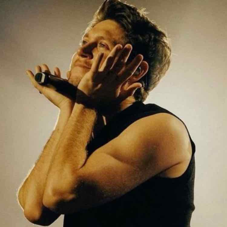 Niall Horan - He’s just amazing he’s so sweet and i love him music