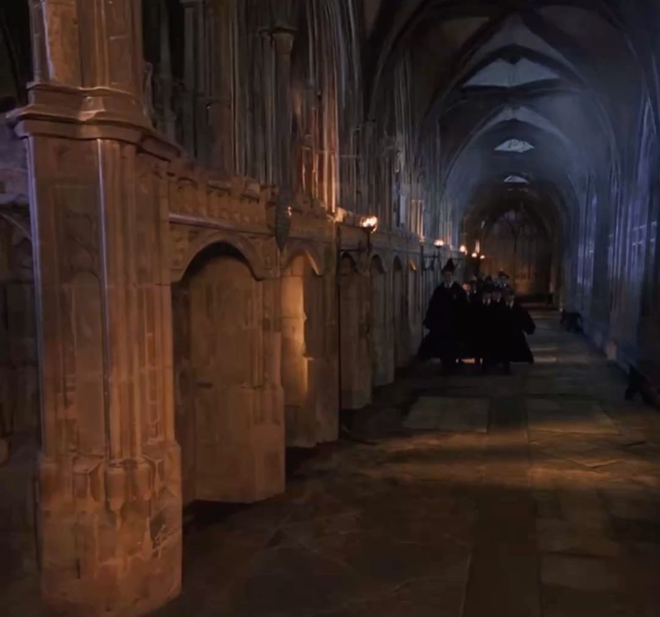 ‘harry potter’