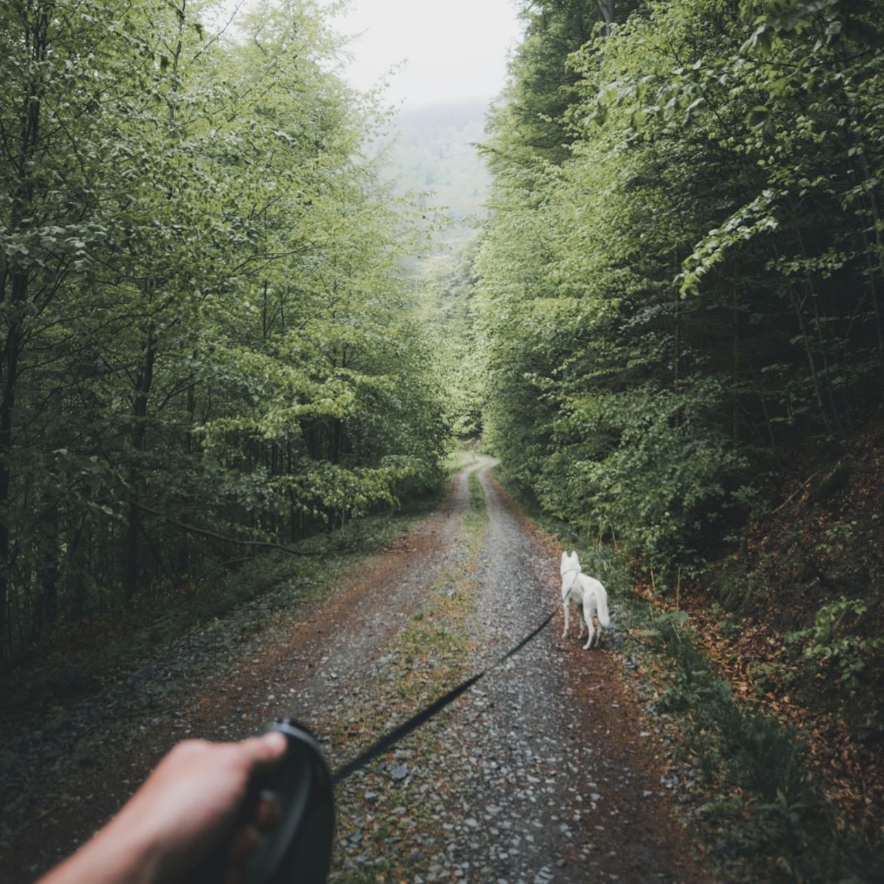 Move your body - A morning walk, pilates class or a short run, whatever exercise that helps you energize.