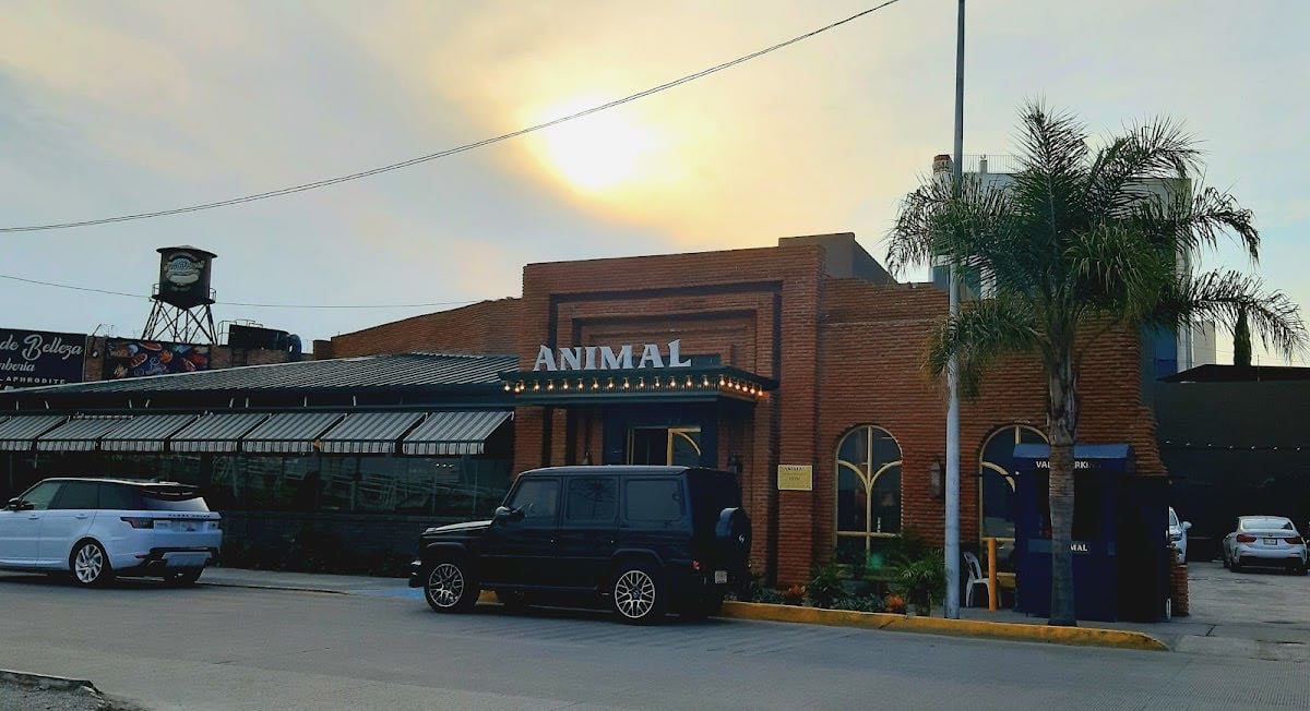 Animal Puebla
