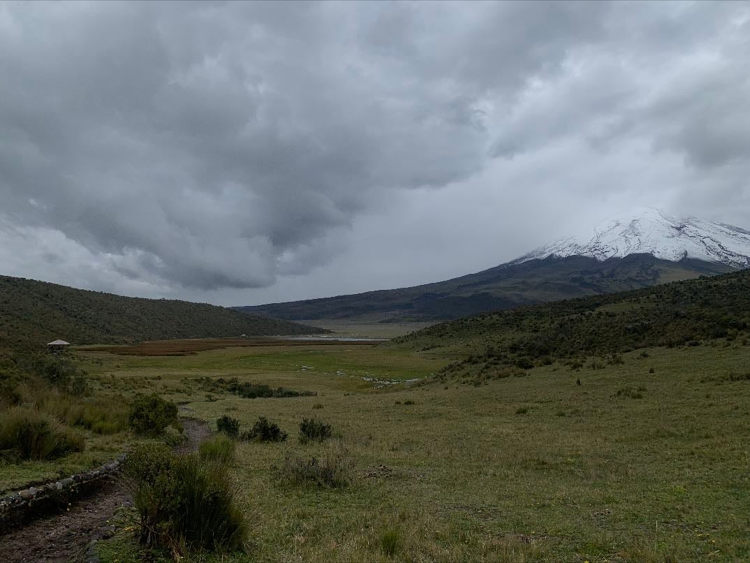 Desolación