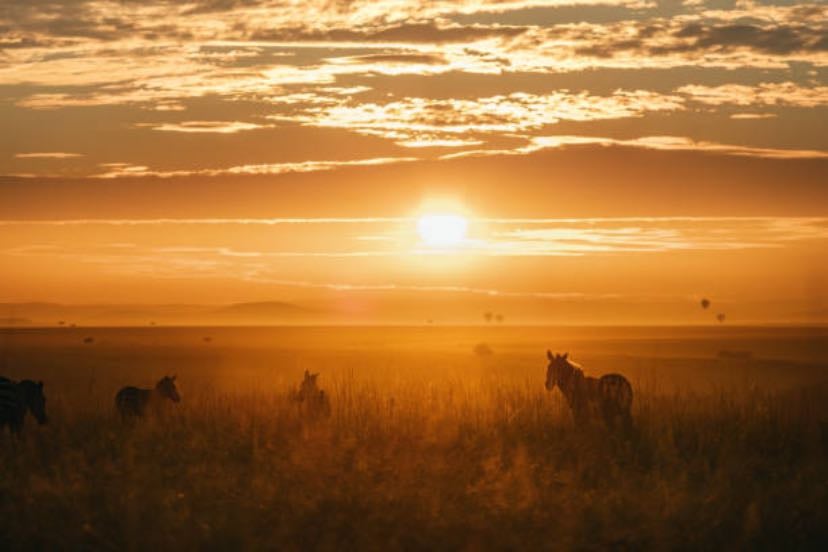 kenya