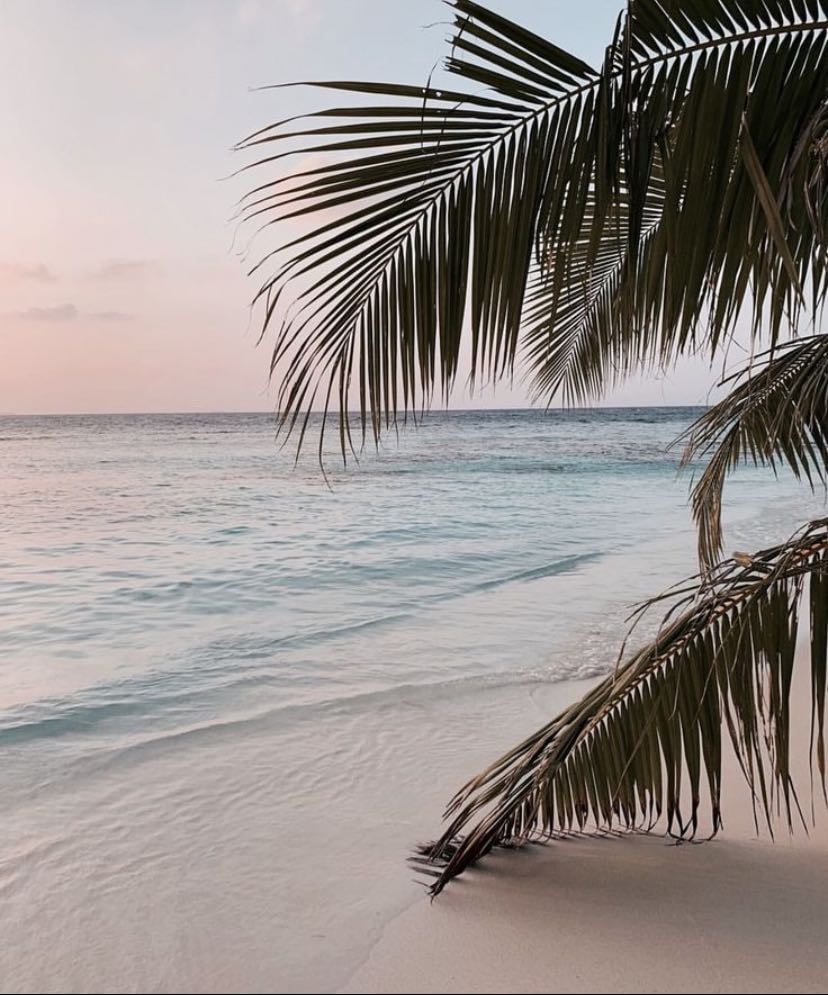 palm beach
