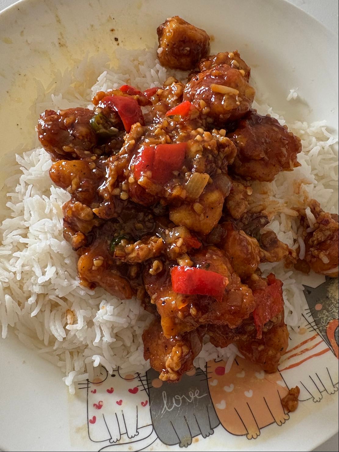 Sweet and sour chicken & Rice