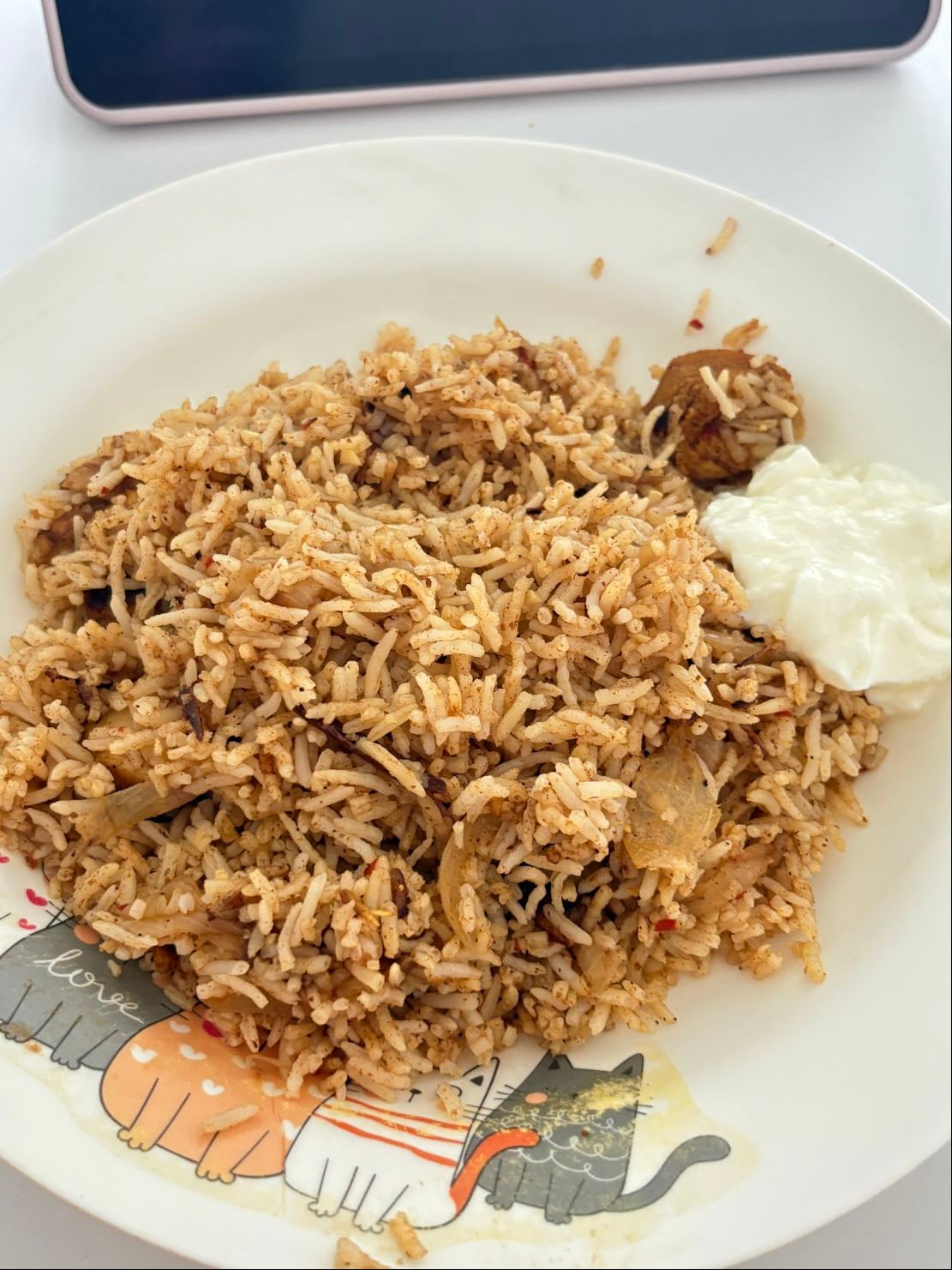 Chicken Biriyani