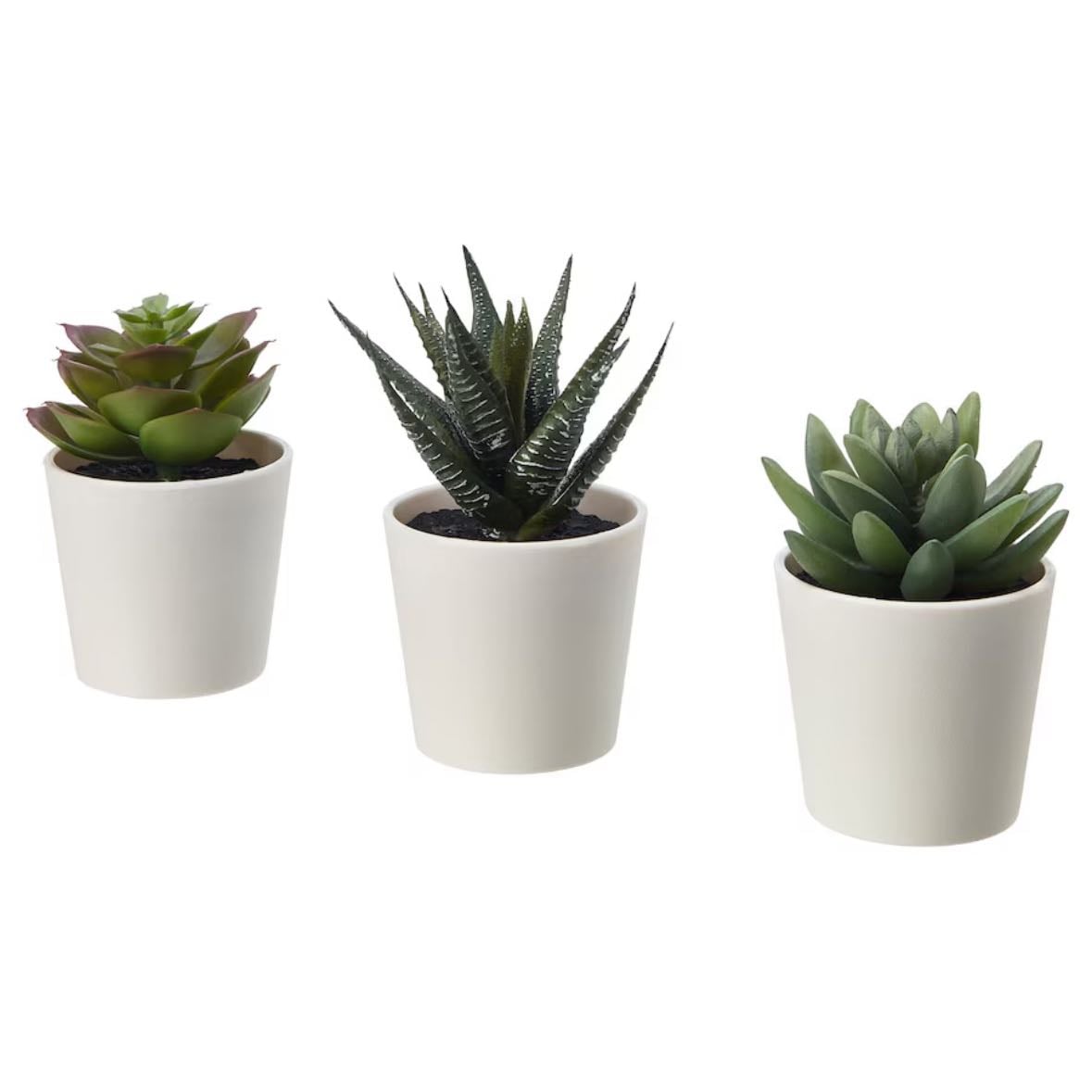 fake plants - i cant keep real ones alive