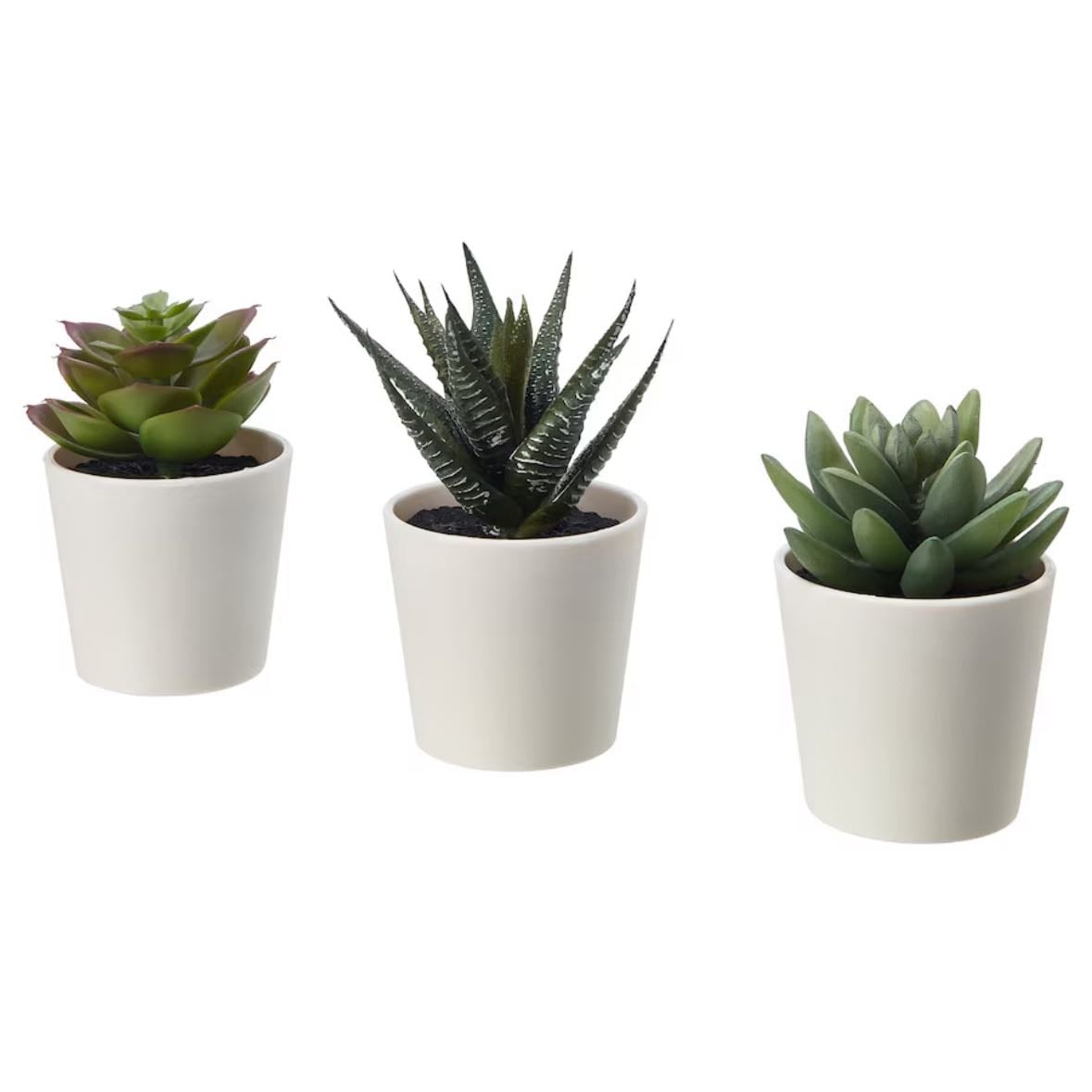 fake plants - i cant keep real ones alive