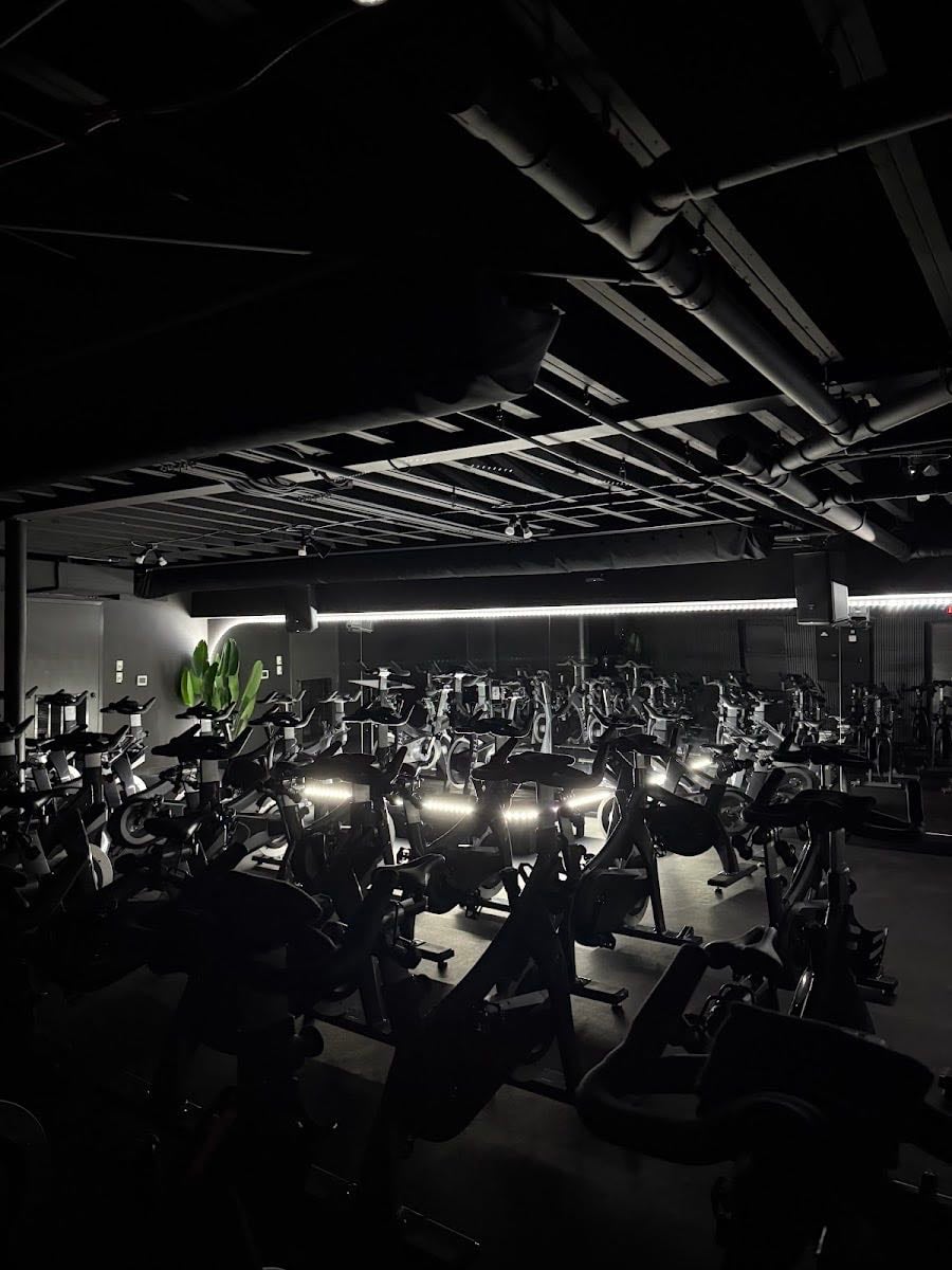 THE CLUB