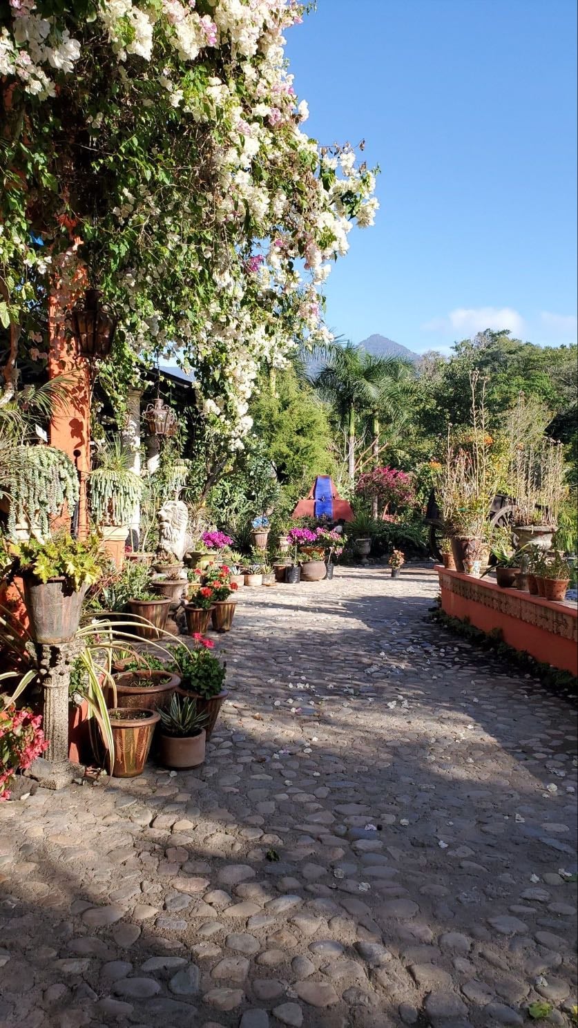 Ir a jardín botánico