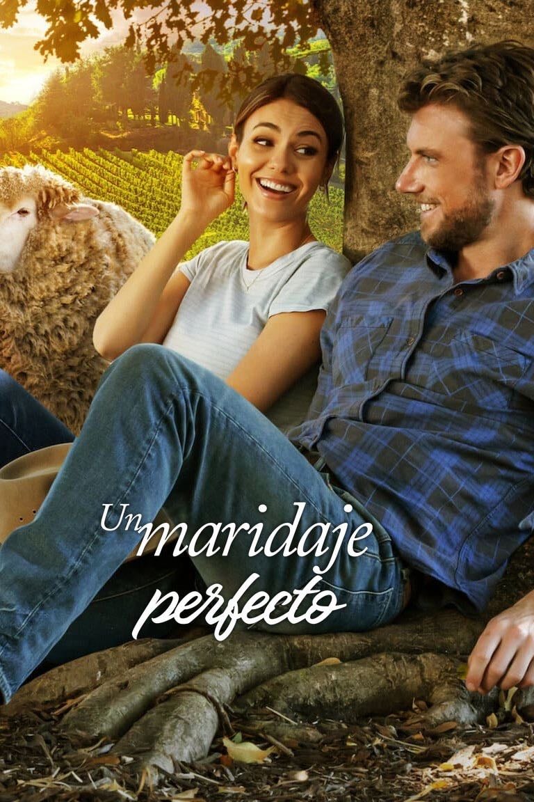 Un maridaje perfecto - Stuart McDonald · 2022