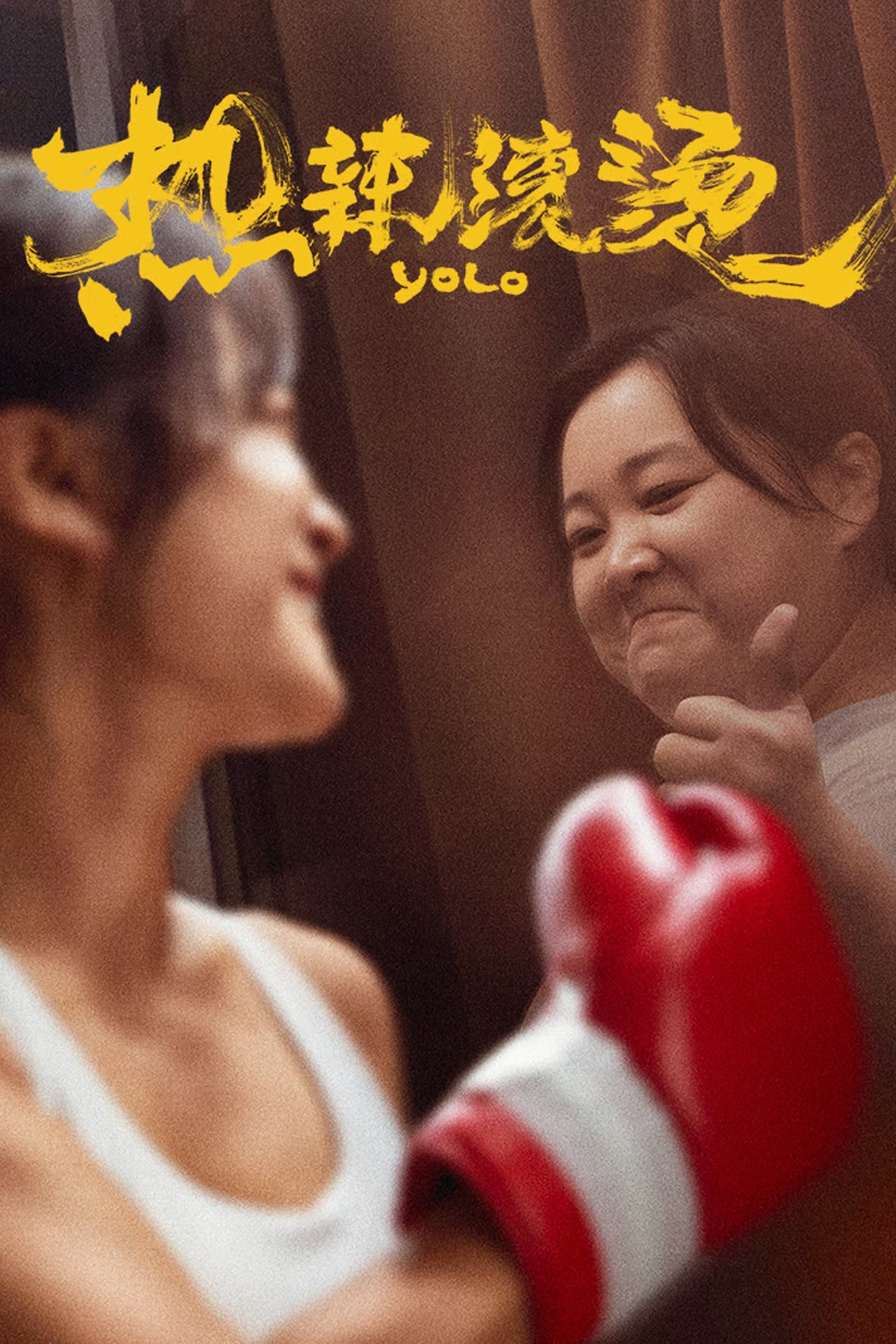 Yolo - 贾玲 · 2024