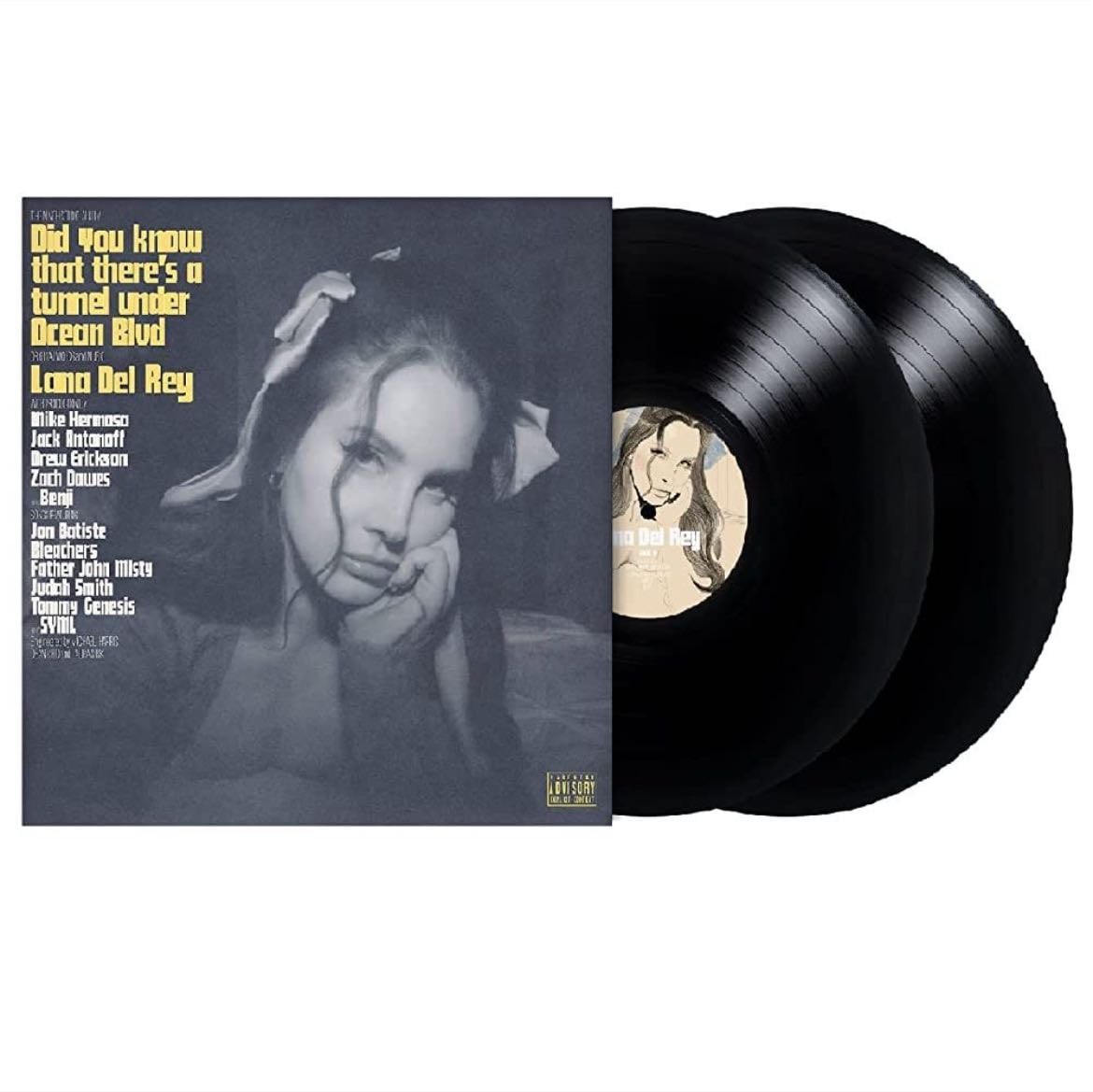 “did you know that there’s a tunnel under ocean blvd” Vinyl