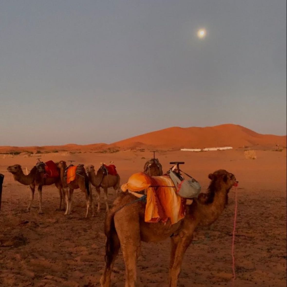 Marruecos