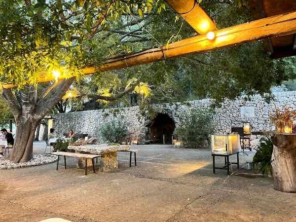 Ses Coves - Producto de primera calidad