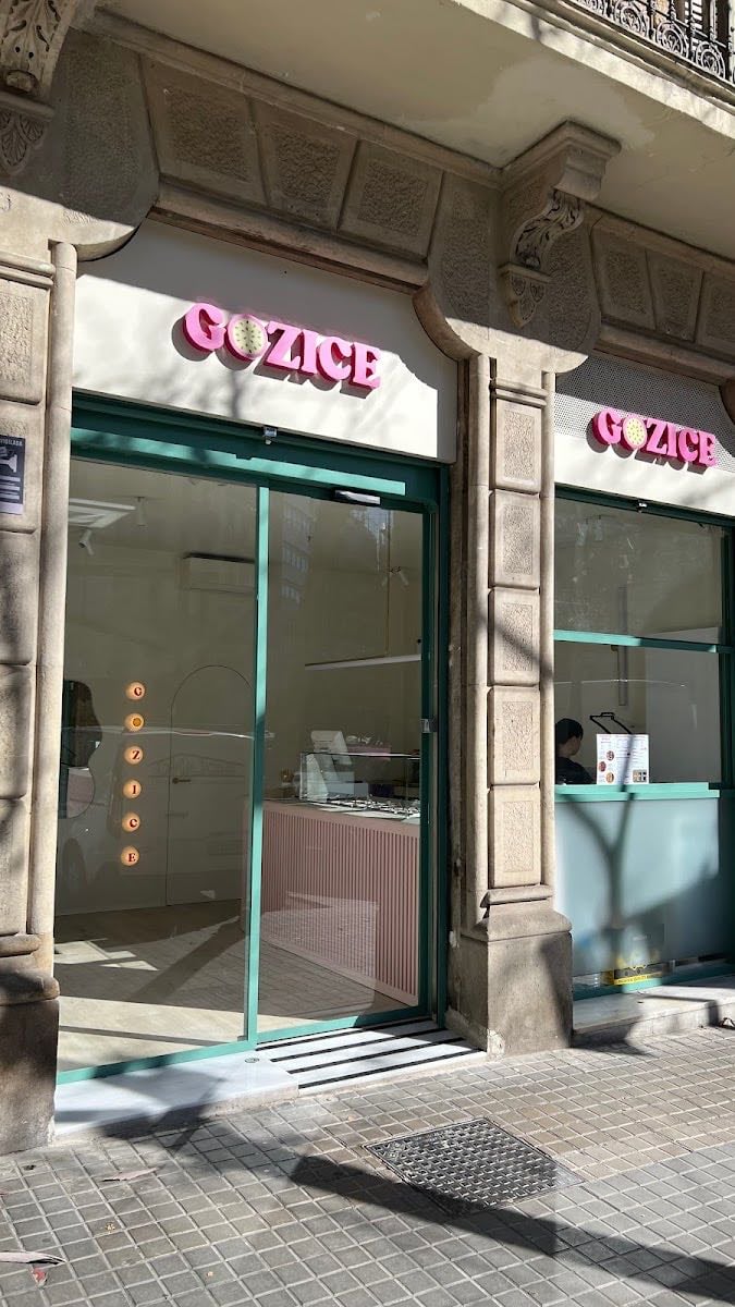 GOZICE Açaí