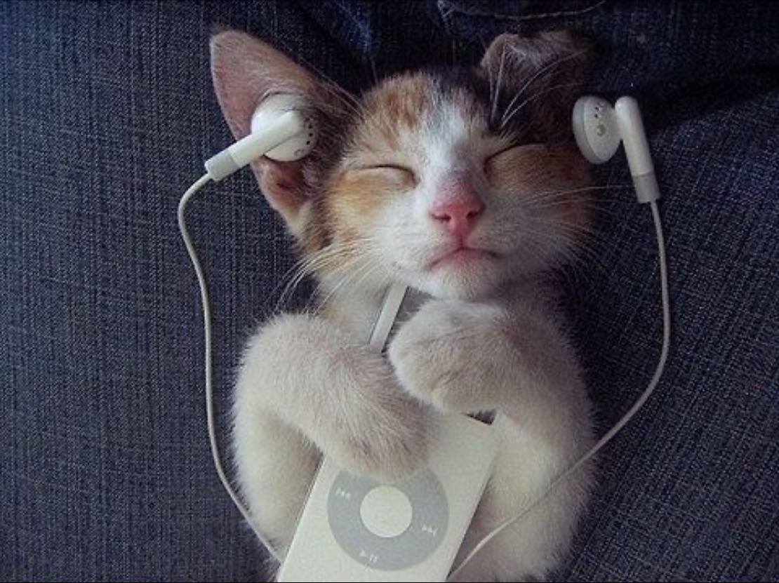 Barbra Streisand - My adhd awakening