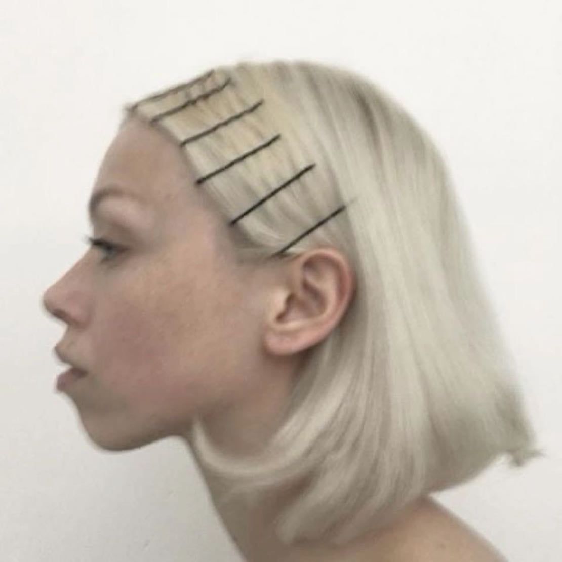 LOTS of hairpins - at once ofc