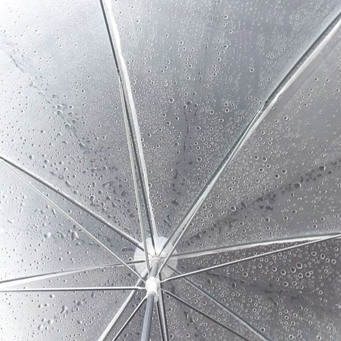 Petrichor - the earthy scent of rain on dry ground